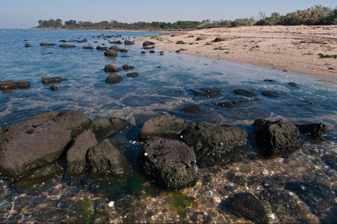 Point Cook Marine Sanctuary - Hervey Bay Accommodation 0