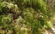 Powder Magazine Walking Track - thumb 0