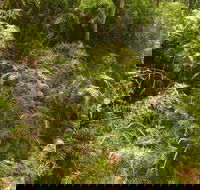 Powder Magazine walking track - Hervey Bay Accommodation