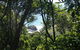Rainforest Walking Track, Hat Head National Park - thumb 0