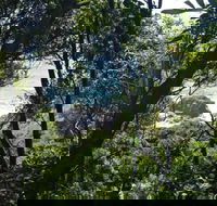 Rainforest Walking Track Hat Head National Park - Hervey Bay Accommodation