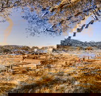 Rennix walking track - Hervey Bay Accommodation