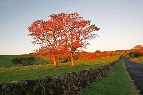 Saddleback Mountain Lookout - Hervey Bay Accommodation 2