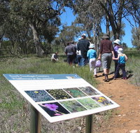 South Gundagai Woodlands Walk