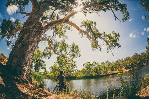 Sturt Gorge Recreation Park - Hervey Bay Accommodation 0