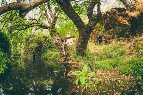 Sturt Gorge Recreation Park - Hervey Bay Accommodation 1