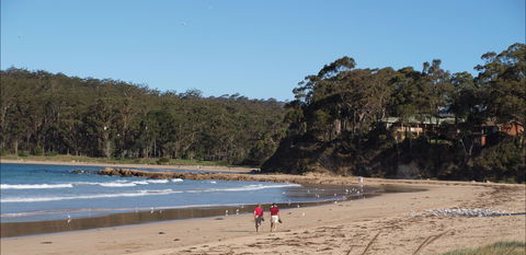 Surf Beach Batemans Bay - Hervey Bay Accommodation 1