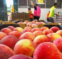 Sydney Produce Market