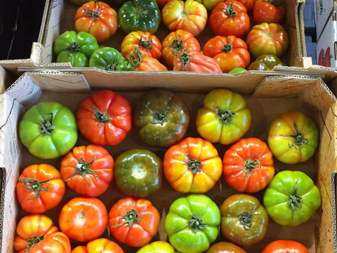 Sydney Produce Market - Hervey Bay Accommodation 1