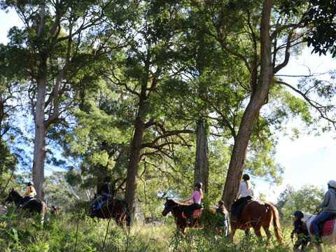 The Outlook Riding Academy - Hervey Bay Accommodation 0