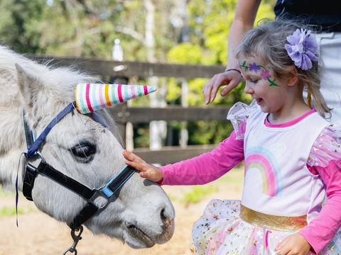 The Outlook Riding Academy - Hervey Bay Accommodation 1