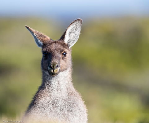 The Sole Walk At Hillocks Drive - Hervey Bay Accommodation 1