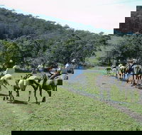 Timbertops - Horse Riding - Tourism Hervey Bay