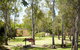 Wangaratta's Significant Trees Walks - thumb 0