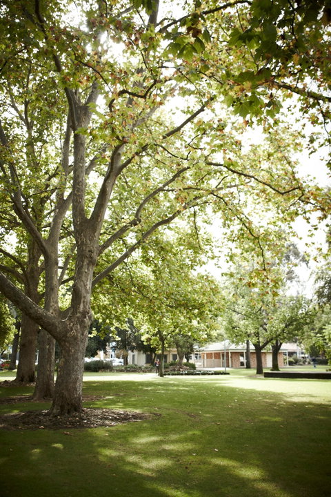 Wangaratta's Significant Trees Walks - Hervey Bay Accommodation 1