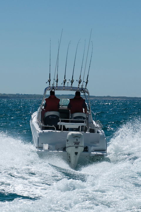 Western Port - Hervey Bay Accommodation 1
