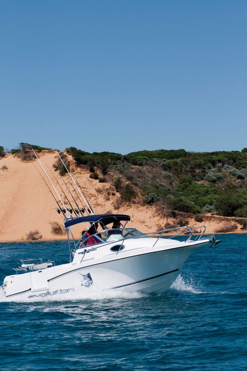 Western Port - Hervey Bay Accommodation 2