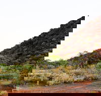 Whyalla Conservation Park - Hervey Bay Accommodation