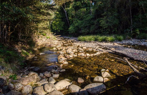 Wilson River Picnic Area - Tourism Hervey Bay 0