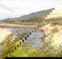 Willis picnic area - Hervey Bay Accommodation