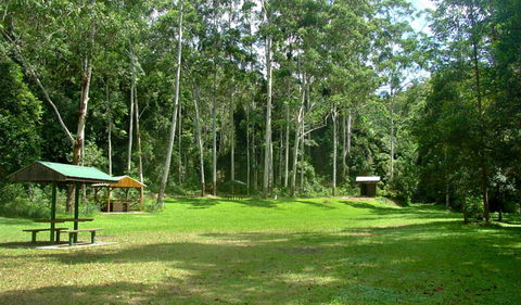 Woolgoolga Creek Picnic Area - Hervey Bay Accommodation 0