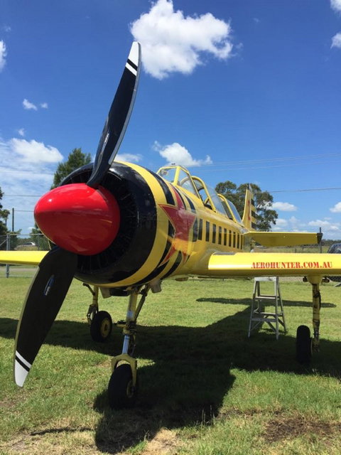 Aerohunter - Hervey Bay Accommodation 0