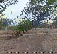 Alexander Forest Memorial - Hervey Bay Accommodation