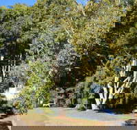 Anzac Avenue Memorial Trees Beerburrum - Hervey Bay Accommodation