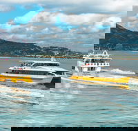 Apex Camps Magnetic Island Group Accommodation Activities and Events - Tourism Hervey Bay