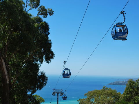 Arthurs Seat Eagle - Hervey Bay Accommodation 0