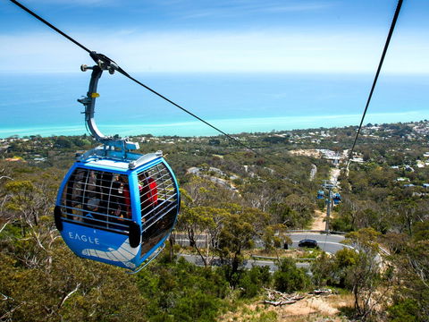 Arthurs Seat Eagle - Hervey Bay Accommodation 1