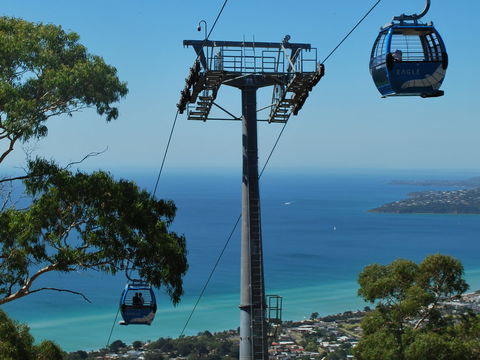 Arthurs Seat Eagle - Hervey Bay Accommodation 2
