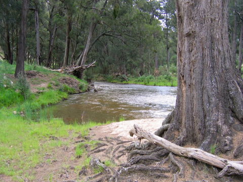 Bangadilly National Park - Hervey Bay Accommodation 0