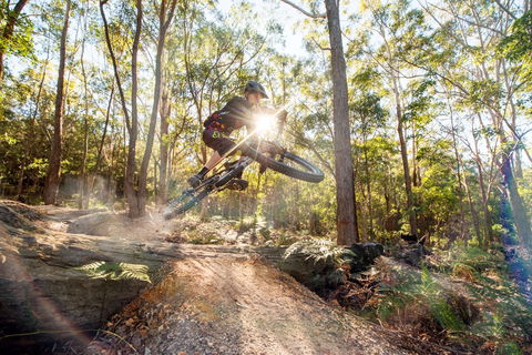 Bayview Conservation Area - Hervey Bay Accommodation 2
