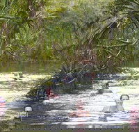 Berry Springs - Hervey Bay Accommodation