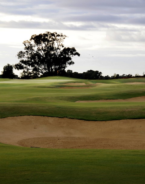Black Bull Golf Course - Hervey Bay Accommodation 1