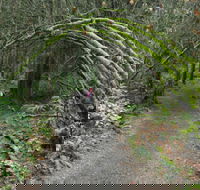 Bridle trail