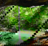 Buderim - Tourism Hervey Bay