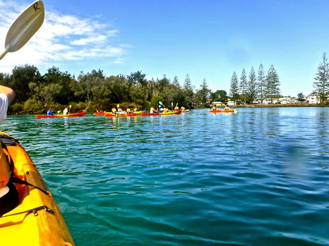 Byron Bay River Nature Kayak Tour - Hervey Bay Accommodation 0