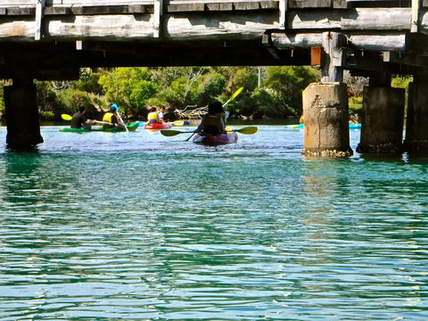 Byron Bay River Nature Kayak Tour - Hervey Bay Accommodation 1