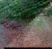 Cascade mountain bike trail - Hervey Bay Accommodation