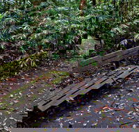 Coombadjha Nature Stroll - Hervey Bay Accommodation