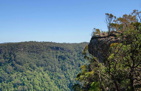 Cooks Nose Walking Track - Hervey Bay Accommodation 0