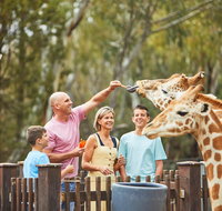 Dubbo - Hervey Bay Accommodation