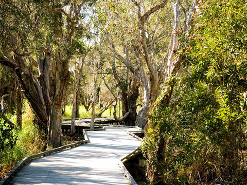 Eagleby Wetlands - Tourism Hervey Bay 1