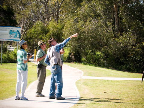 Eagleby Wetlands - Tourism Hervey Bay 2