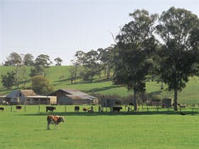 Echunga - Hervey Bay Accommodation 0