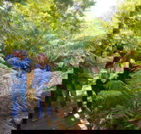 Endeavour Fern Gully Walks - Hervey Bay Accommodation