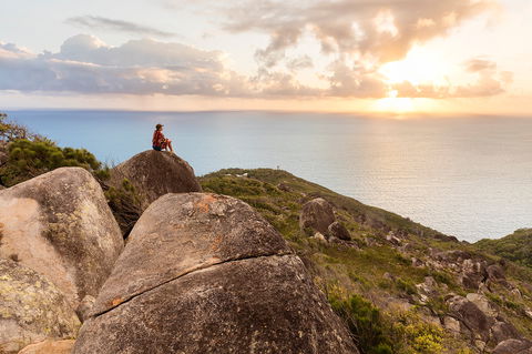 Fitzroy Island National Park - Hervey Bay Accommodation 1