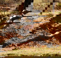 Freycinet Paintball and Campground - Tourism Hervey Bay